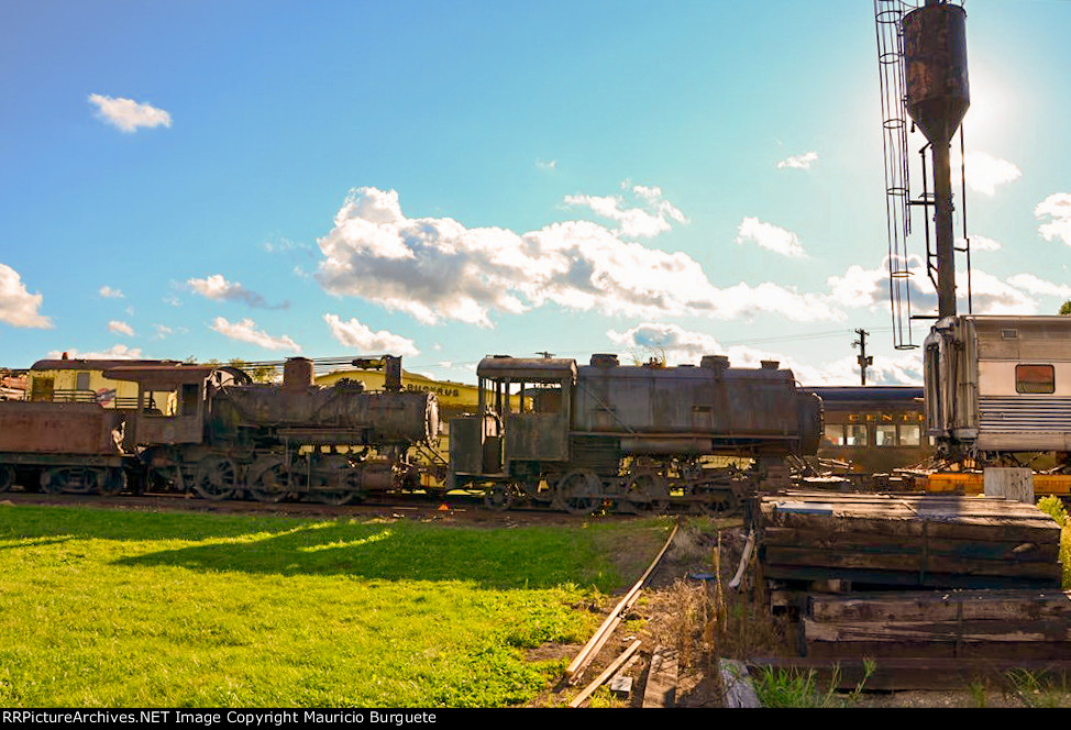 Lee Tidewater Cypress Co. 2-6-0 and Coronet Phosphate Co. 2-6-2T